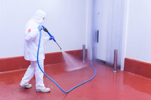 Reliable South Oroville, CA Pressure Washing Services Solutions