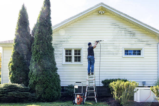 Best Building Exterior Washing  in South Oroville, CA